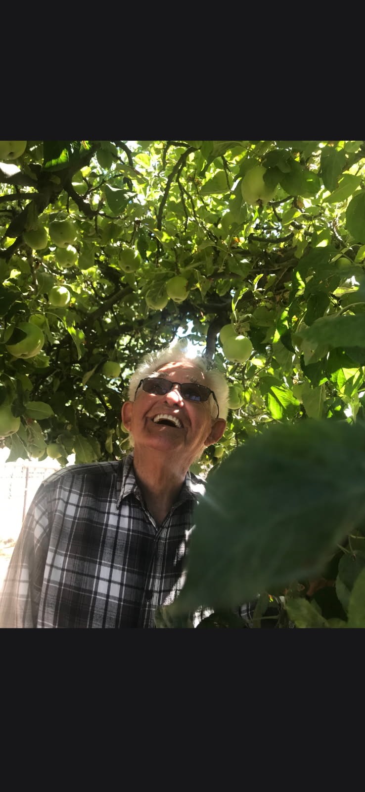 Obituary of Homer Curtis Dryer
