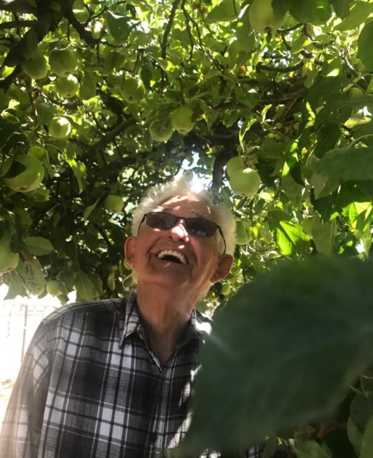 Obituary of Homer Curtis Dryer