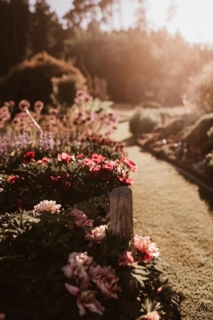 Obituary of Peggy Porter