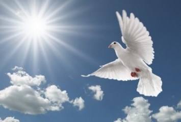 Obituario de Juanita Rivera Rivera