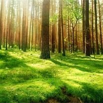 Obituary of James Alfred Warrington