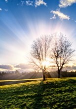 Obituary of Barbara Ann Benson