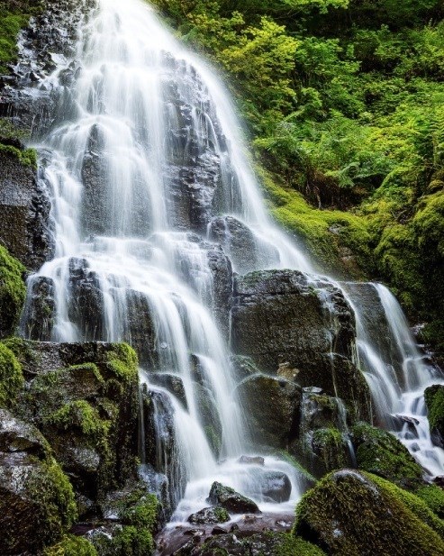 Obituary of Joanne Marie Smith