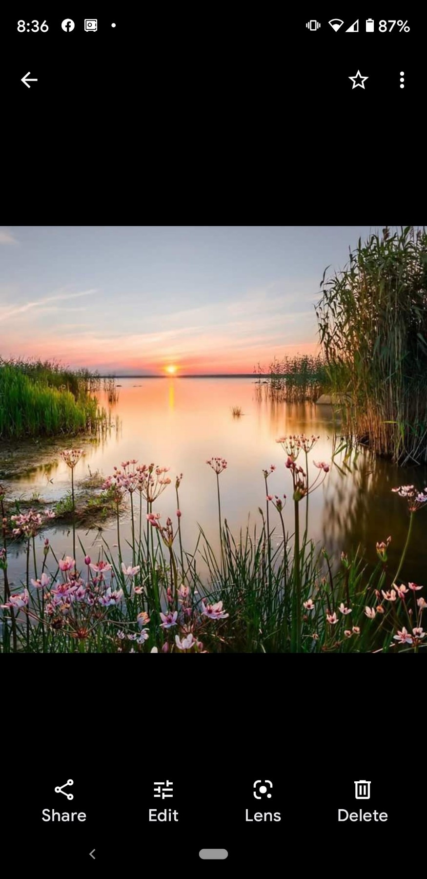 Obituary of Hazel Frances Larson