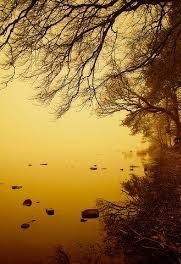 Obituary of Ernest Roy Knapp