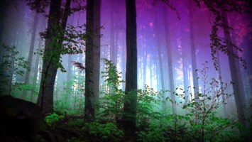 Obituary of Eduardo Valdelamar