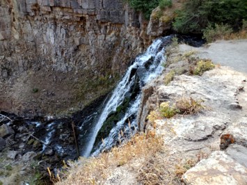 Obituary of Larry McDonald