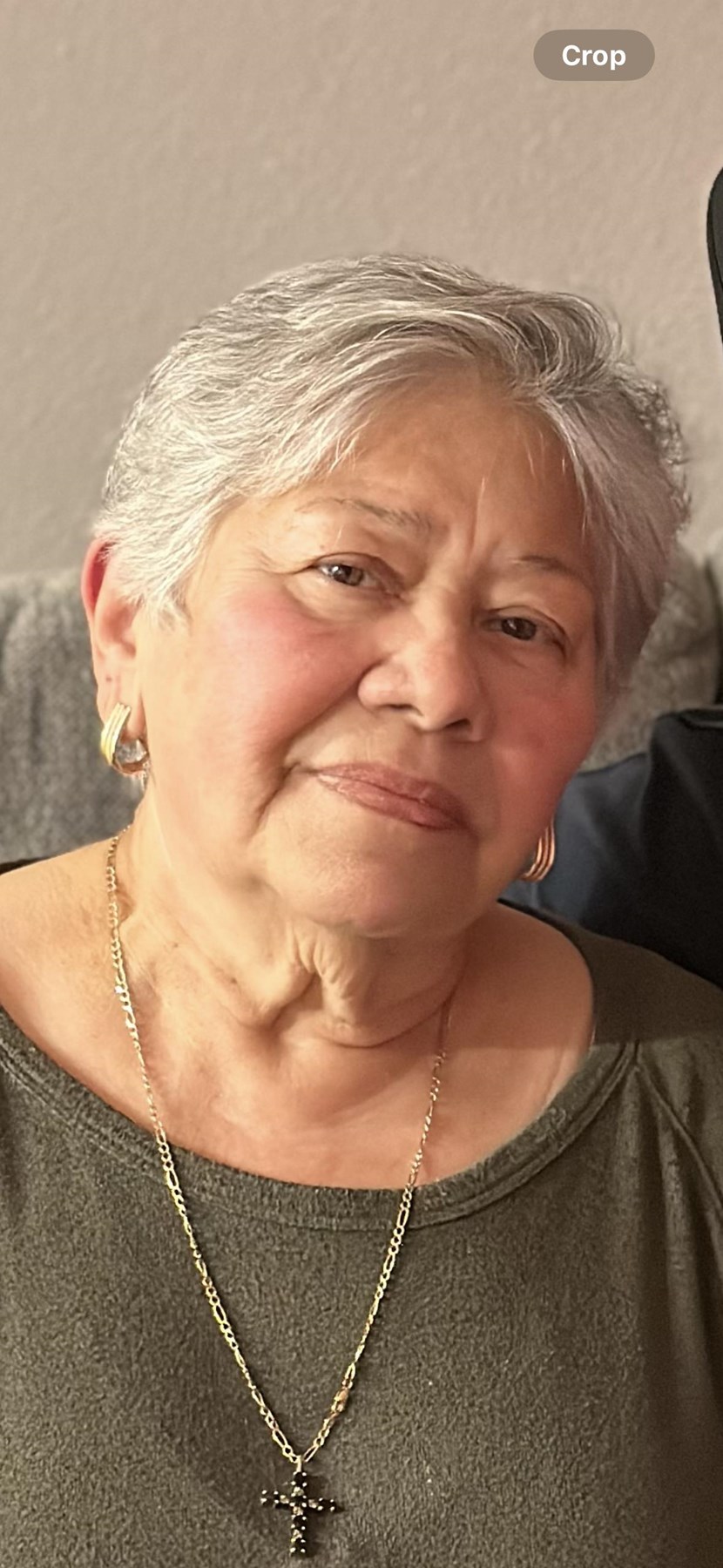 Obituary of Ana Alicia Recinos