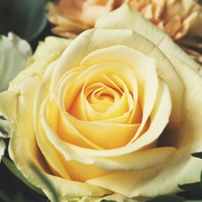 Obituary of Jonathan Moseley