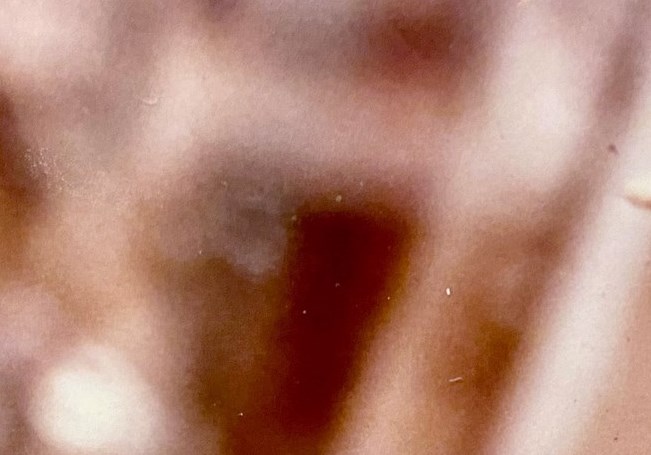 Steven Brown Obituary Canton, TX