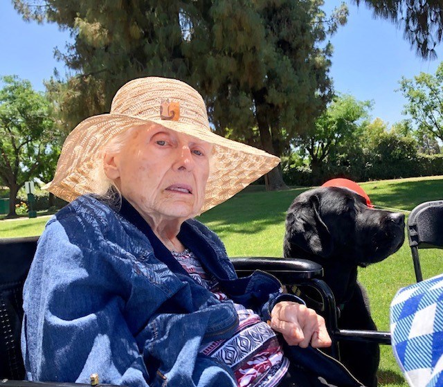 Obituary of Carol Sue Davis