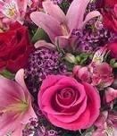 Obituary of Olga Molina