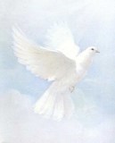 Obituary of Clara Mabel Young