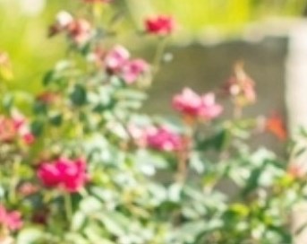 Tomas Seineke Obituary San Antonio, TX