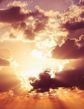 Obituary of Denise E. Hilverding