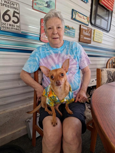Obituary of Gayle Anne Powell