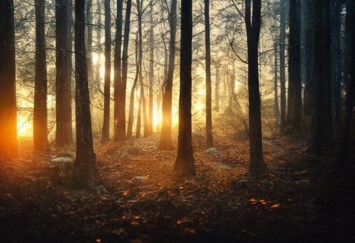 Obituary of Reny Afable Cruz