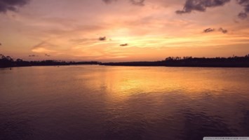 Obituary of Crystal V. Wolf