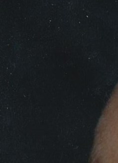 Alvin Hechler Obituary Houston, TX