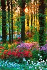 Obituary of Janet Fry