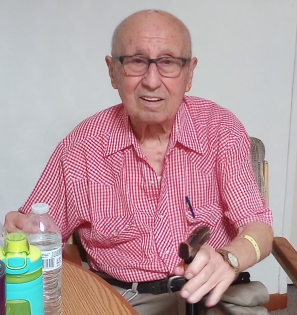 Obituary of Leo Romanelli