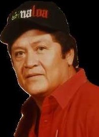 Obituary of Jose Ernesto Delgado