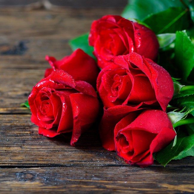 Obituary of Leon Serrano Maria de Jesus