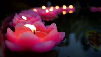 Obituary of Raymond Duc Hanh Lam