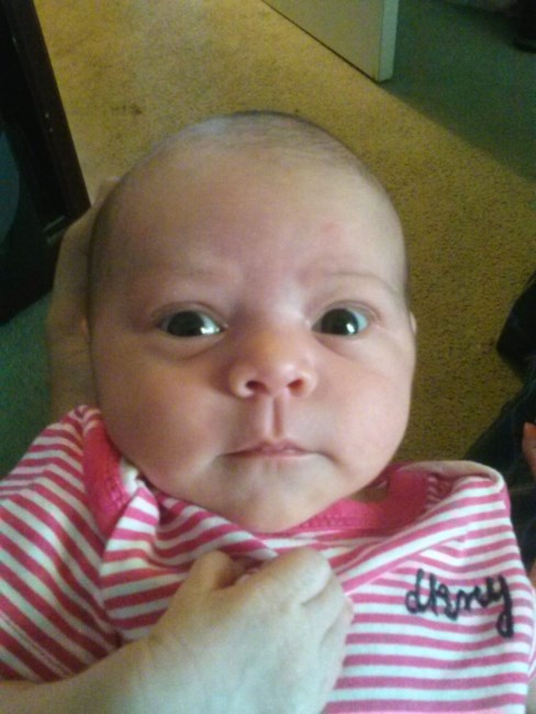 Obituary of Janay Desirae Bohigian