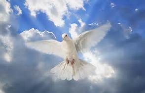 Obituary of Aida L. Rosado