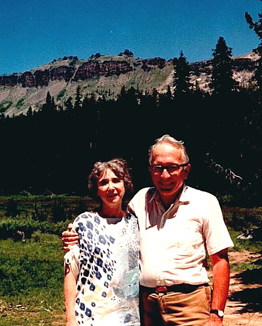 Obituary of Raleigh Edmond Denison Jr.