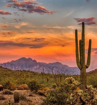 Obituary of Kyle Rogers Tollers