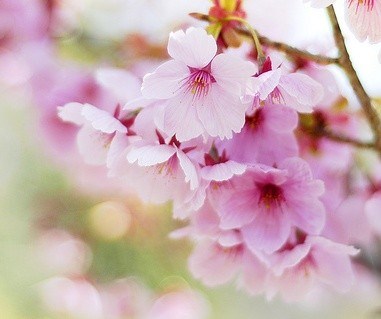 Obituary of Eleanor A West