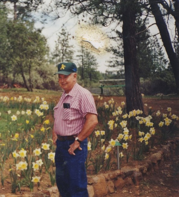 Avis de décès de Walter Don Andrews