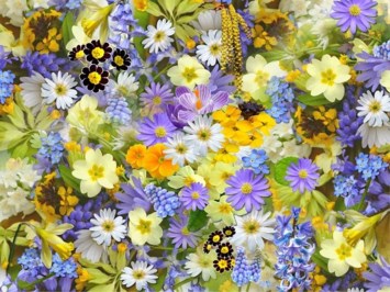 Obituary of Florence Elizabeth Black