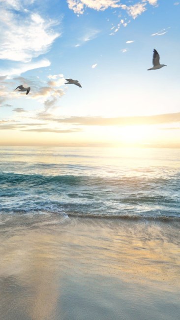 Avis de décès de Neil James Scopick