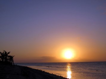 Obituary of Arlene Greenbaum Klein