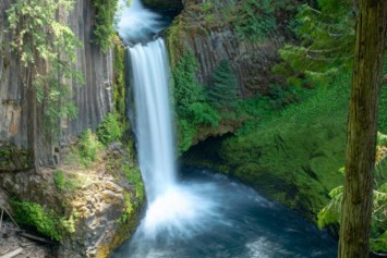 Avis de décès de Ellen Lee Morehead