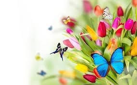 Avis de décès de Patricia Anne Dugan