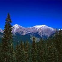 Avis de décès de Lois Violet Wood