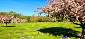 Obituary of Bernice Harriet Stencil