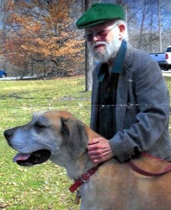 connolly bullmastiffs