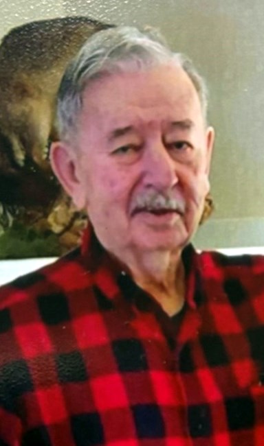 Obituary of Robert Stephen Piedmont