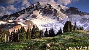 Obituary of Amadeo Lopez Garza