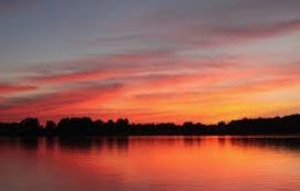 Obituary of Ronald Kopp