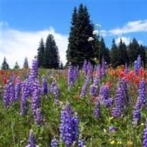 Obituary of Bonnie Joe Jones