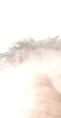 Donald Nelson Obituary Chicago, IL