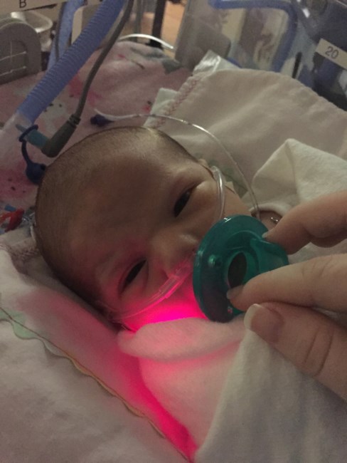 Obituary of Layla Michel Adams