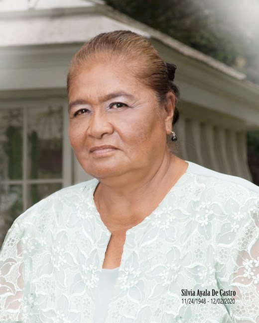Obituary of Silvia Ayala De Castro