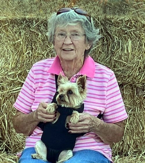 Obituary of Patricia Ann Long